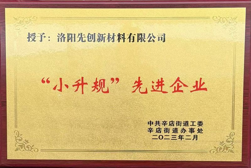 “小升规“先进企业