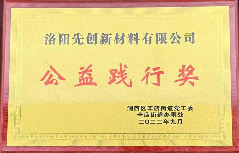 公益践行奖